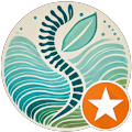 Gentle Chiropractic and Wellness